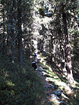 ...und steigen steil durch dichten Wald aufwärts