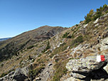 Ein erster Blick zur Königsangerspitze