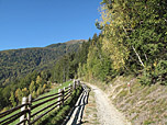 ...in angenehmer Steigung Richtung Waldrand