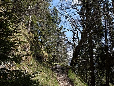 ... bleibt aber durchwegs einfach.