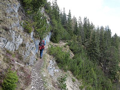 ... nach Nordosten auf den Königsstand zu.