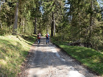 ... der hier recht bequem durch den schattenspendenden Bergwald führt.