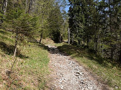 Nach der Hütte wird der Weg ein wenig schmäler, ...
