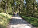 ... der hier recht bequem durch den schattenspendenden Bergwald führt.