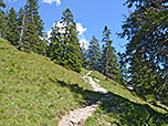 Durch lichten Bergwald...