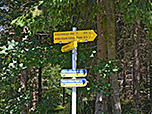 ...Richtung Dürrenbergalm ein