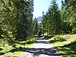 ...und spazieren im Anschluss durch lichten Wald
