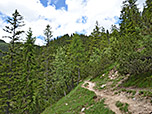...wandern wir zügig bergauf