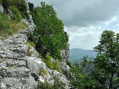 Hier ist schön der mit viel Steinen angelegte Steig zu erkennen
