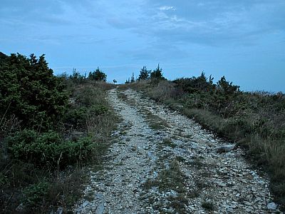 Wir wandern auf der Schotterstraße nach Osten
