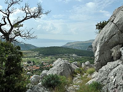 ... den Berg hinauf.