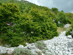 Hier verlassen wir den Weg und wandern nach Westen (links) weiter auf einen Pfad