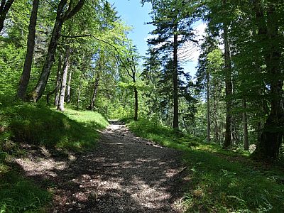 Hinter der Hütte setzt sich der Weg zum Kramerspitz fort