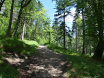 Hinter der Hütte setzt sich der Weg zum Kramerspitz fort