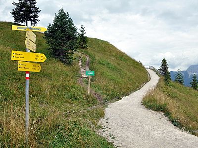 Die letzten Meter bis zum Gipfel