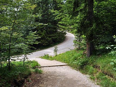 Wir treffen auf eine Fahrstraße, die ...