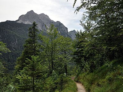 Später führt der Weg ein Stück nach Westen auf das Wettersteingebirge zu