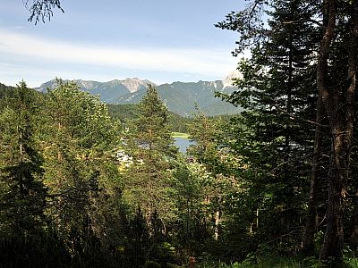 Zwischen den Bäumen können wir den See erkennen