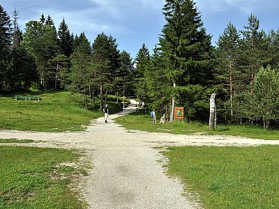 Hier geradeaus und ...