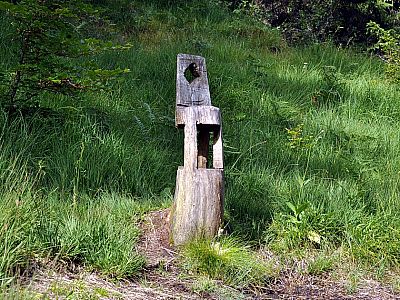 Auf diesem Baumstumpf kann man wirklich bequem sitzen