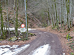 Wir schlagen den breiten Forstweg...