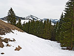 Blick zurück zum Waldrand, links von der Bildmitte der Spitzstein