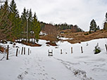 Wir verlassen den Bergwald...