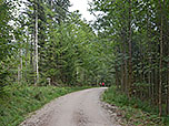 ...und folgen diesem Richtung Waldparkplatz