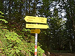 Nun treffen wir auf den breiten Weg, ...