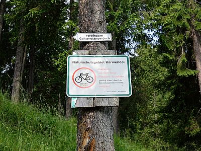 Vor der Paindlalm halten wir uns links ... 