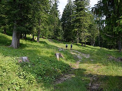 ... und ein paar Meter weiter rechts auf eine wenig ausgeprägte Fahrstraße.