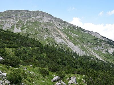 Deutlich zeichnet sich der ebene Weg in den Latschen ab