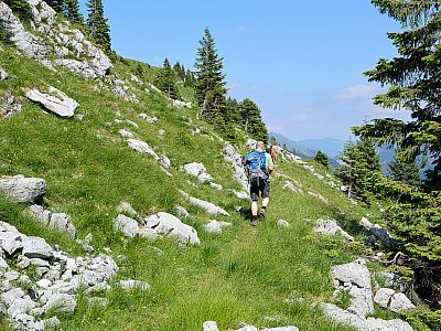 Es wird zunehmend sonniger