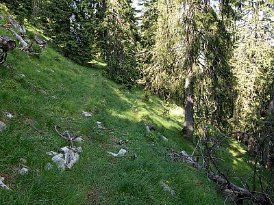 Hier halten wir uns rechts, auf dem kaum erkennbaren Pfad.