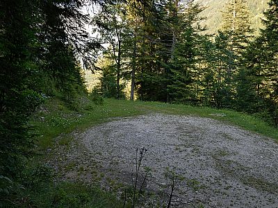 Wir treffen auf den Wendepunkt einer Forststraße und halten uns links