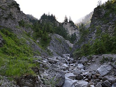 Der Steig führt uns vorbei an etlichen Bächlein