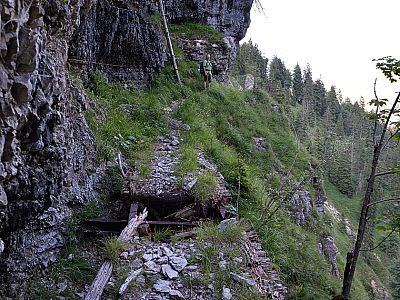 Noch einmal geht es auf dem alten Steig bergauf, ....