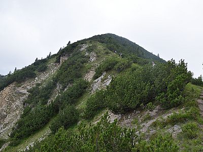 Über den Grat erreichen wir unseren ersten Gipfel, den Galgenstangenkopf