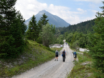 Auf einer Forststraße spazieren wir Richtung Rißbach