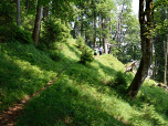 Auf einem Pfad steigen wir nach Südwesten zur Grafenherberge auf.