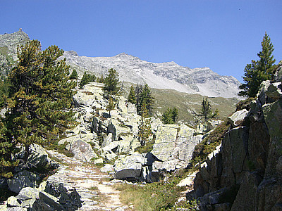 Es geht weiter bergauf