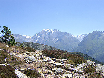 Der Hochferner zeigt sich