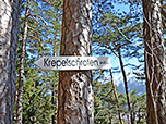 Der Weg zum Krepelschrofen ist nicht zu verfehlen