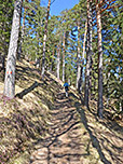Anstieg durch lichten Bergwald