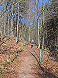 Durch lichten Wald...