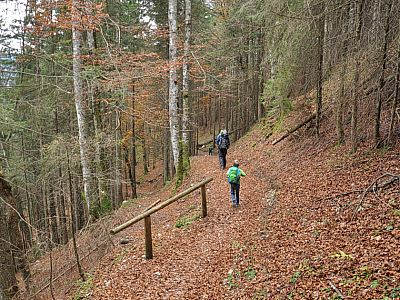 Durch den Wald erreichen wir ...