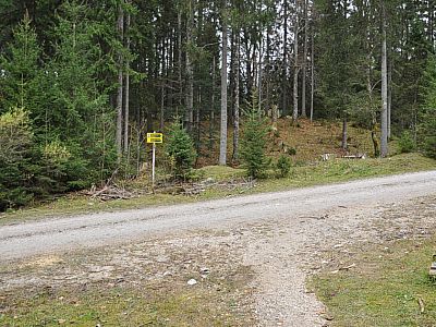 ... eine Forststraße der wir rechts ein paar Meter folgen.