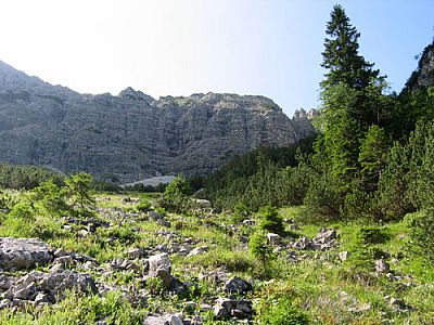 Nach dem Bergwald...