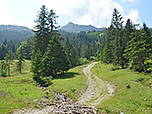 Unser Anstieg zur Krinnenspitze beginnt...