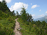...leitet uns der Gamsbocksteig zügig bergauf